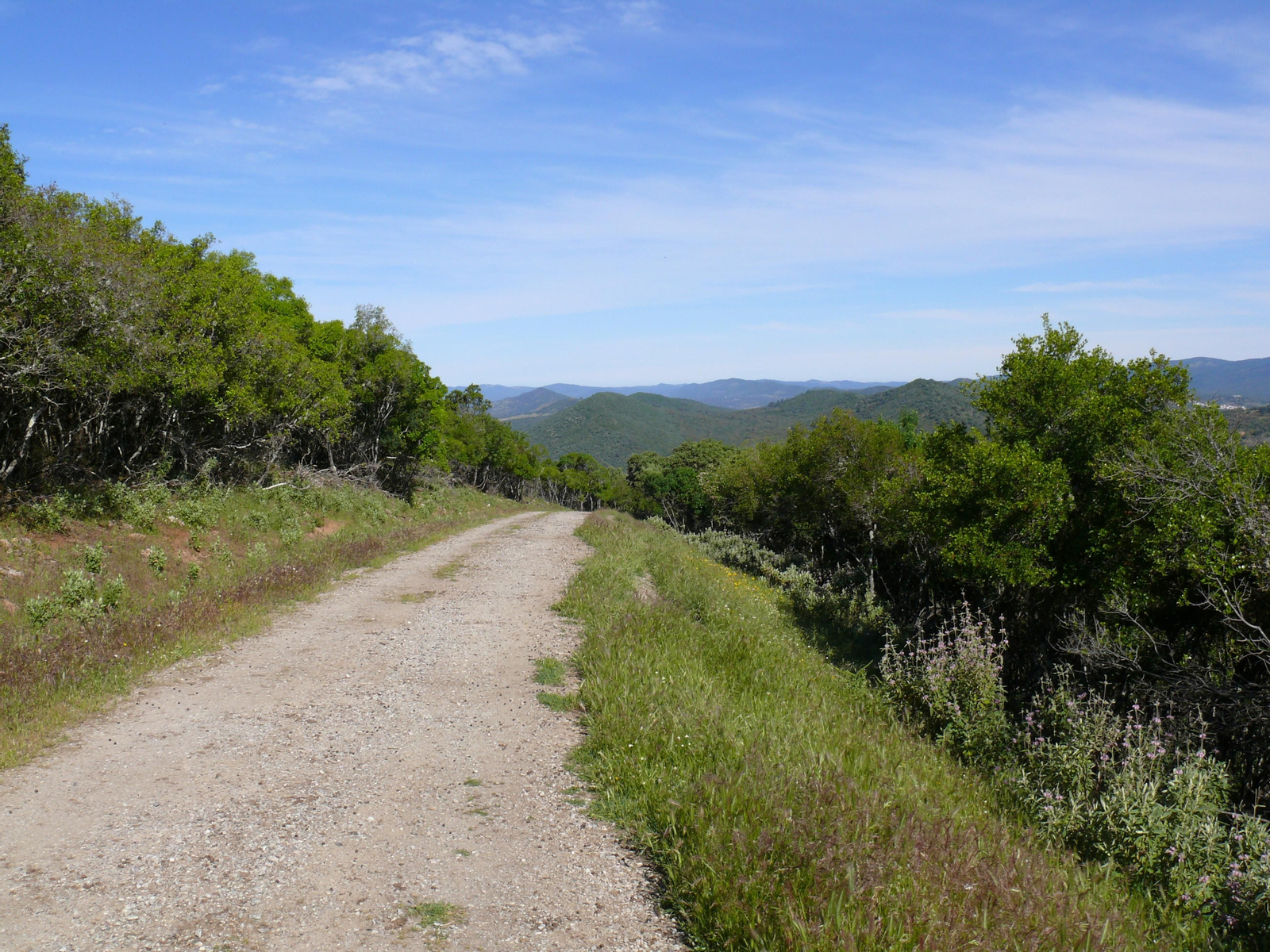Las imágenes de la subida al Mojón en Santa Olalla