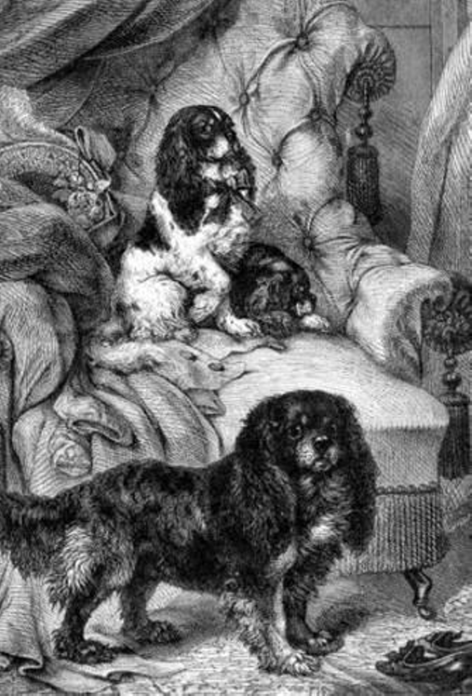 Las crónicas de Cádiz (Cap. LXXVIII)