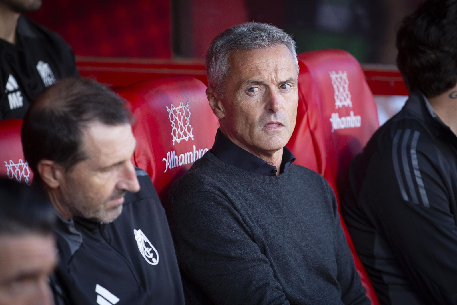 Fran Escribá, en el banquillo del Granada ante elTenerife
