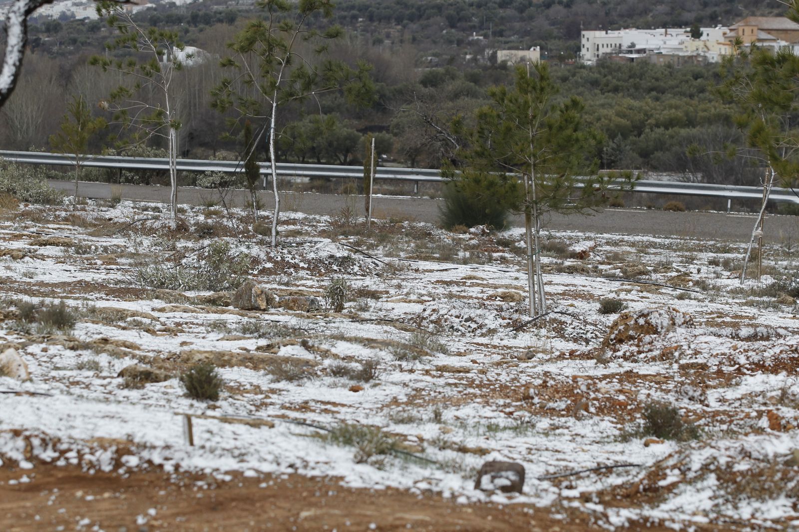Las imágenes de la ola de frío siberiano