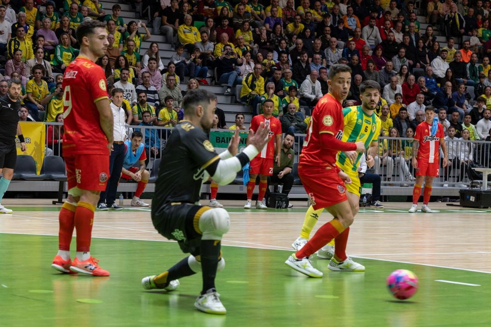 Las mejores imágenes del Jaén Paraíso Interior FS 1 - 1 Jimbee Cartagena