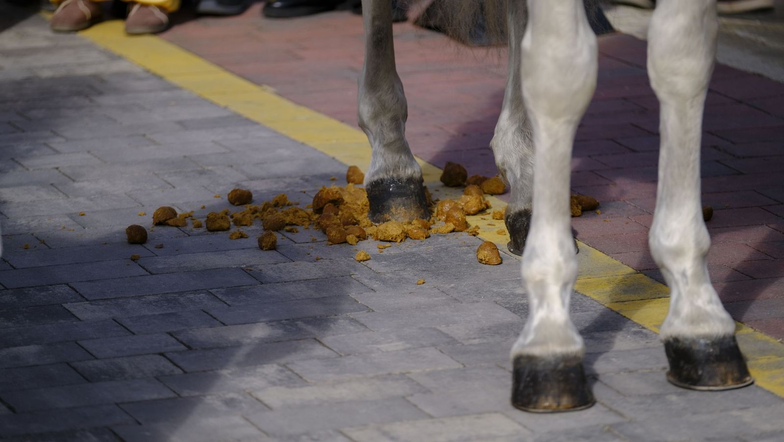 Las fotos del Auto Sacramental de los Reyes Magos en Los Gallardos