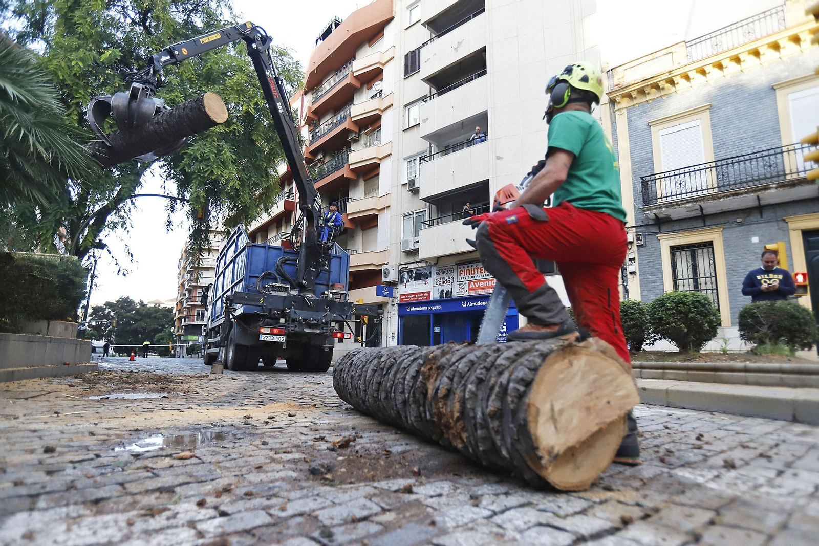 Imágenes de la tala de la emblemática Palmera de Huelva