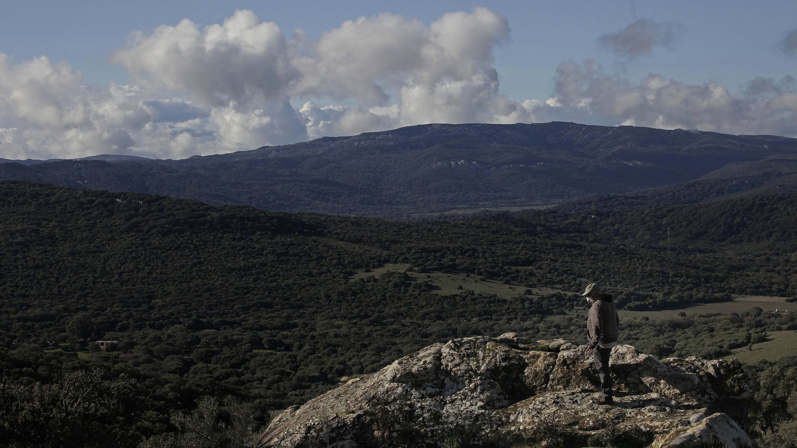Sendero de la finca Murta en Los Barrios