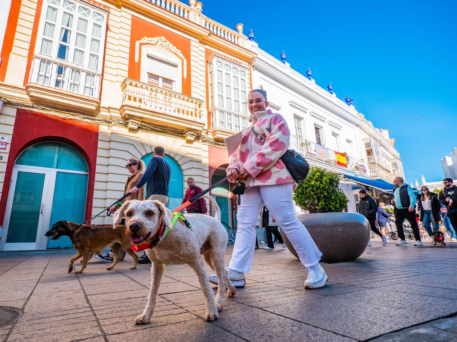 Las imágenes de San Antón 2025 en San Fernando