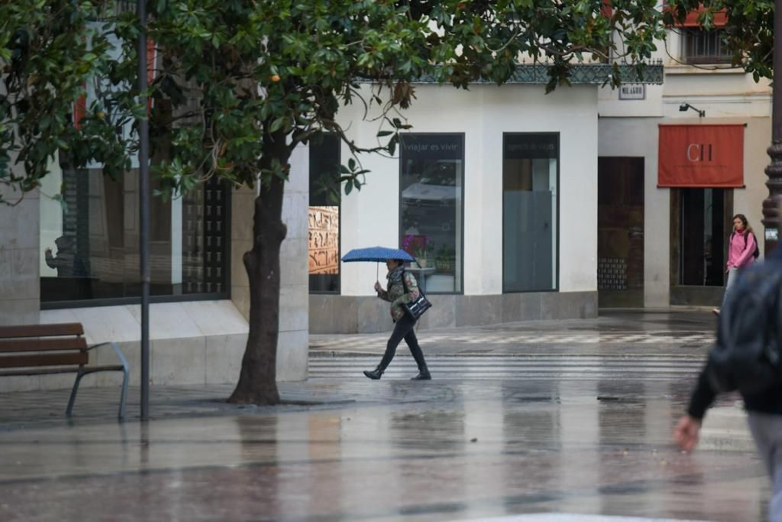 Lluvia en el centro de Granada.