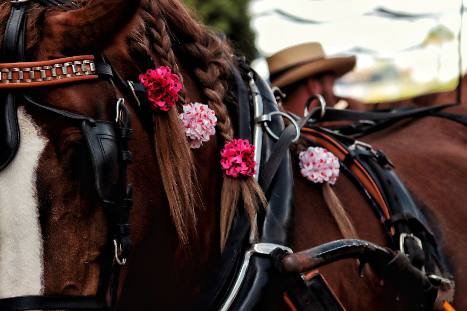 Feria de Málaga: las mejores imágenes de la fiesta en el Real este jueves
