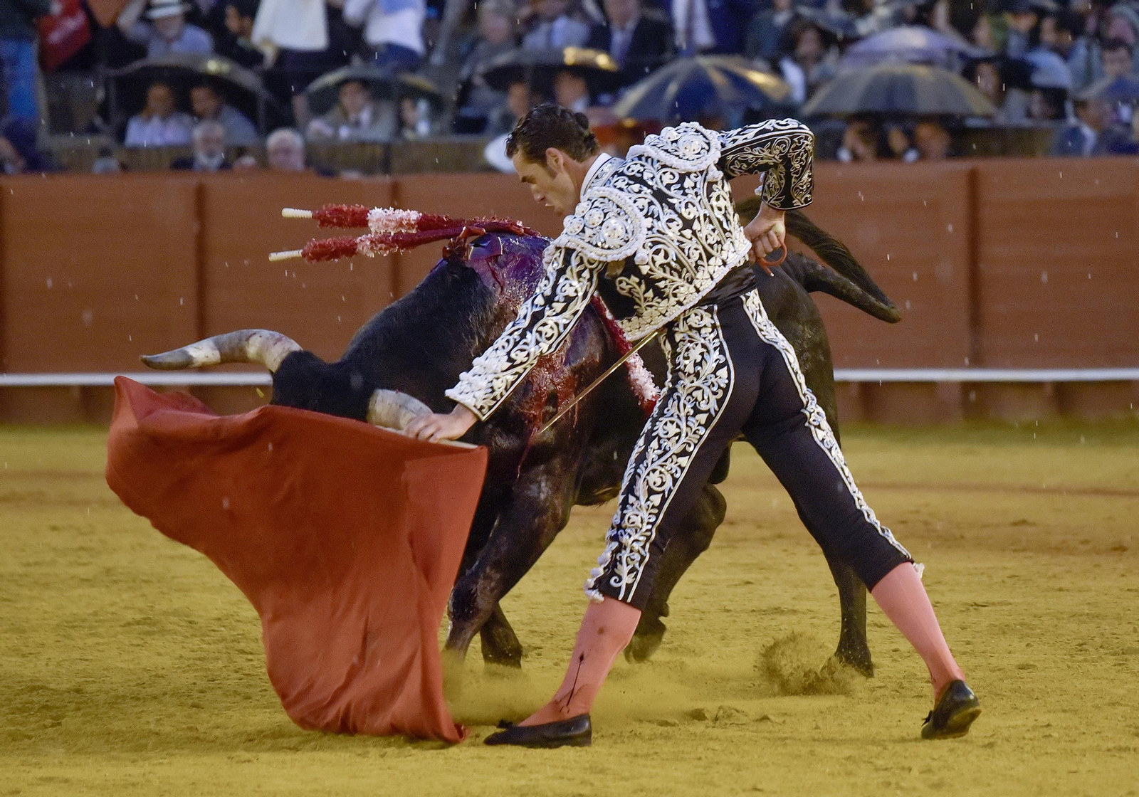 Las imágenes de la 14ª de abono de la Maestranza