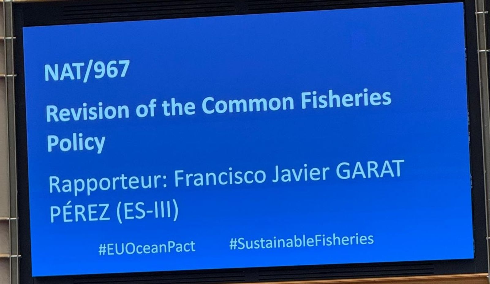 Panel informativo de una de las intervenciones ante el Pleno del CESE.