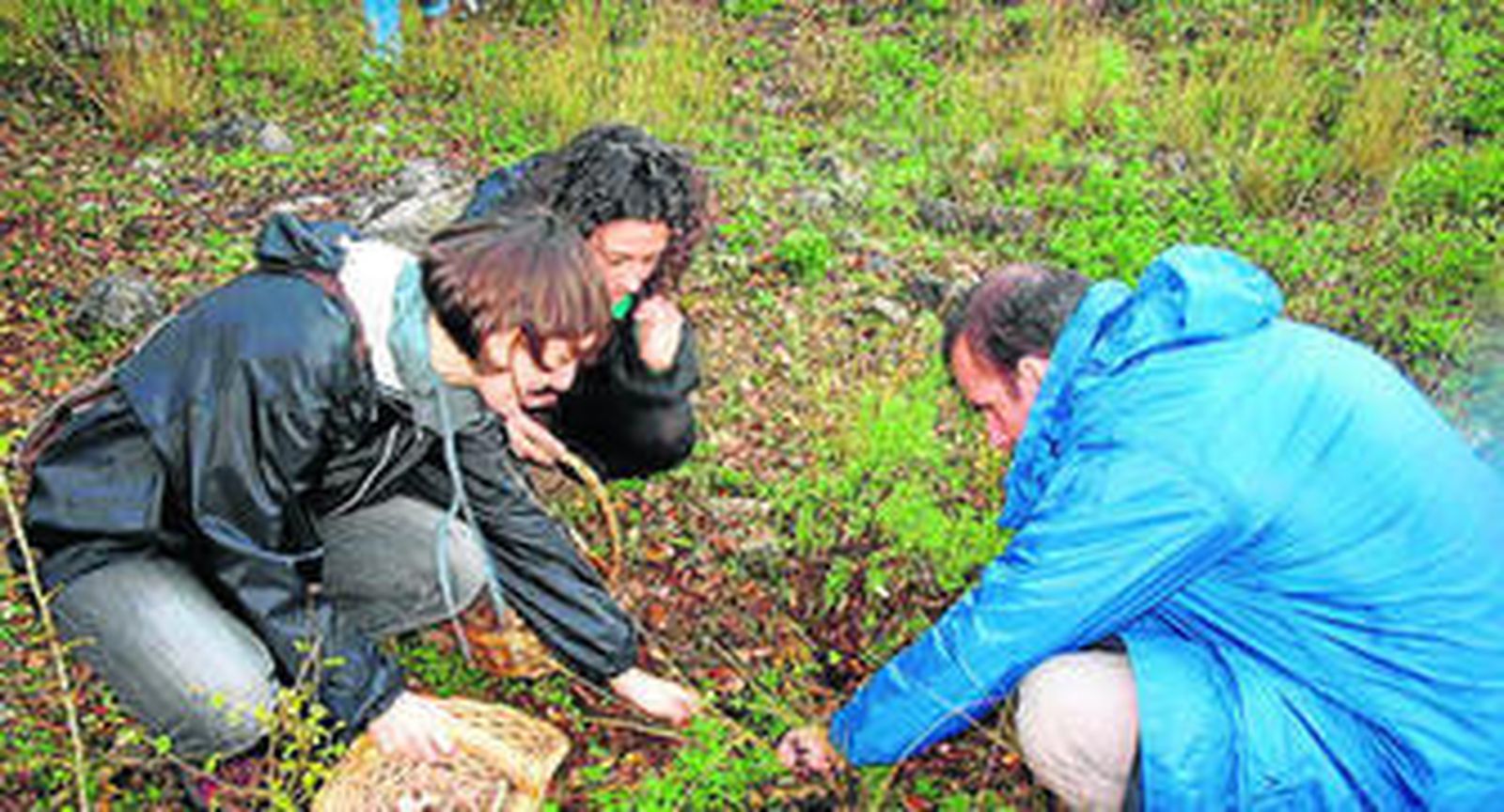 1. Aficionados a las setas buscando ejemplares. 2. Llenado de botellas de mosto 3. Jaime García (a la izqda.) con sus trabajadores en la fábrica-museo Anís La Violetera. 4. La caldera de fabricación artesanal de licores de esta destilería.