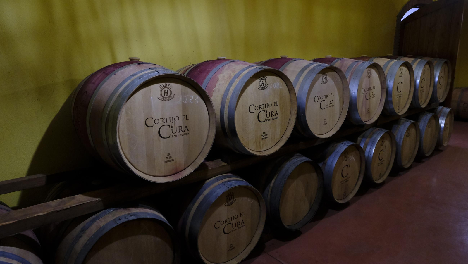 La vendimia en la Bodega Cortijo del Cura de Laujar, en imágenes