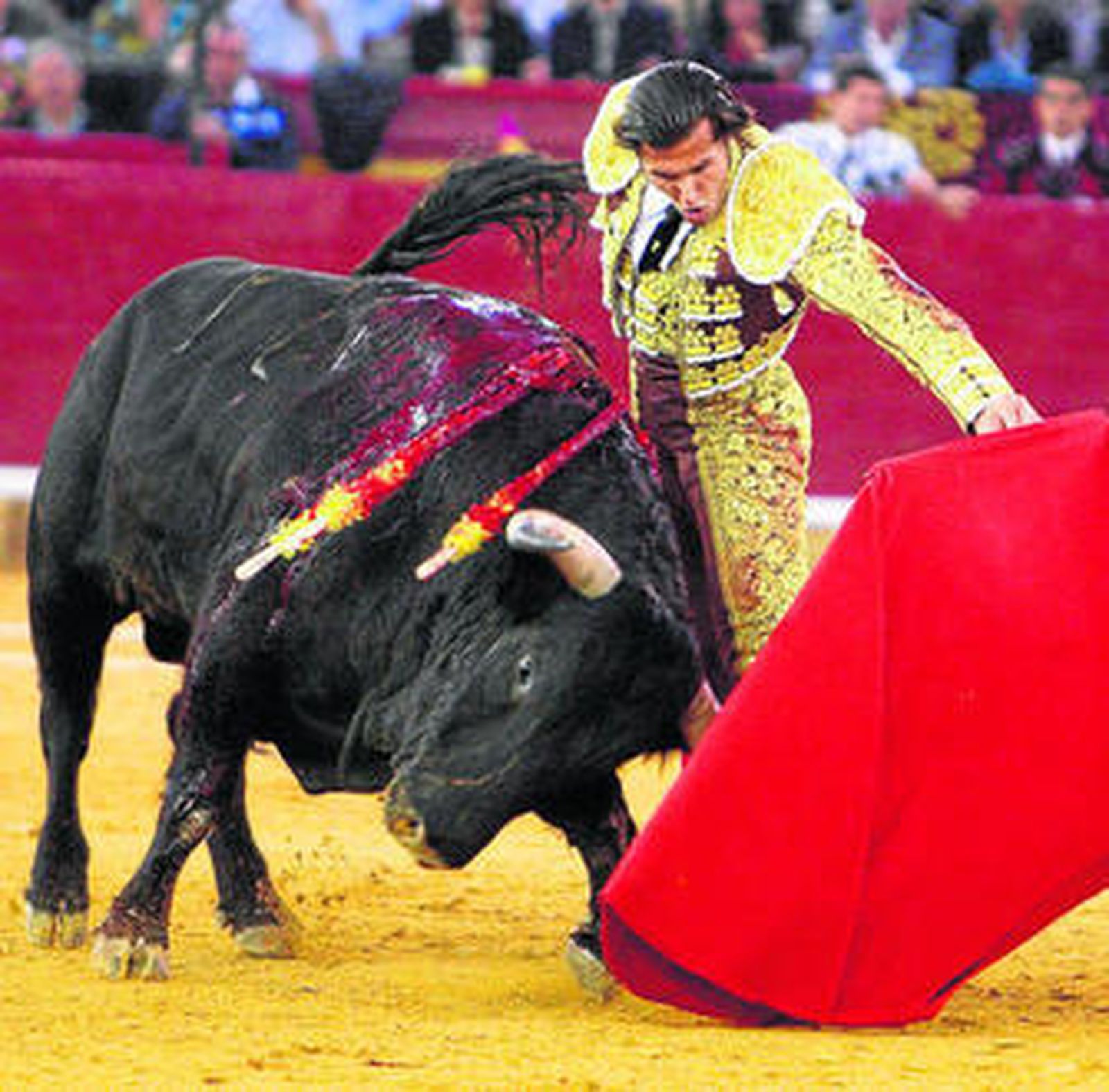 David Mora, firmeza y buen toreo