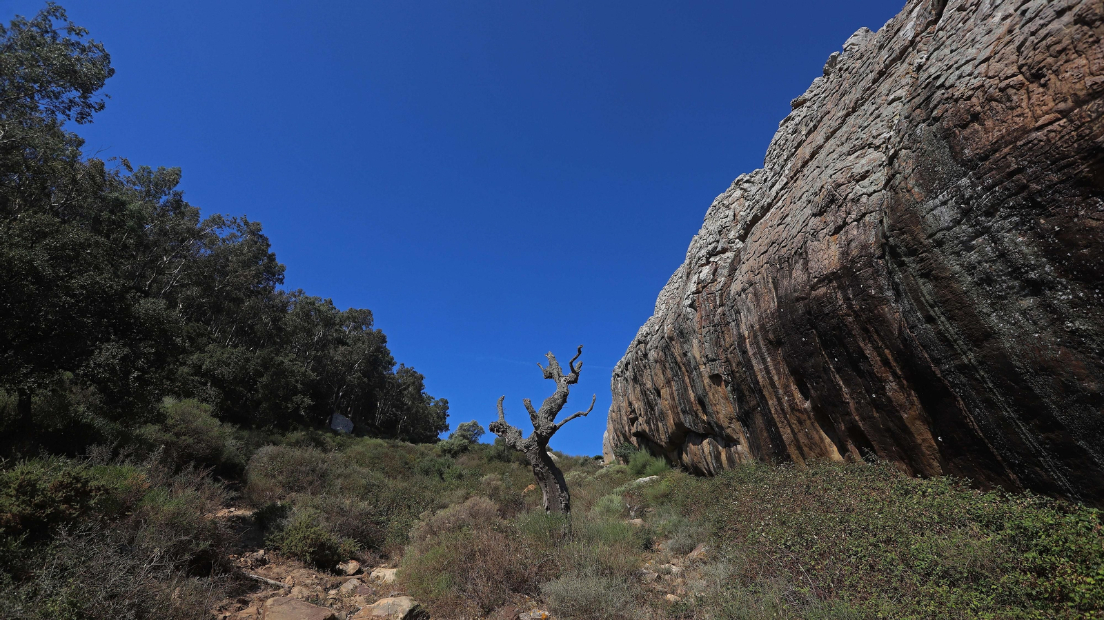 Fotos del sendero del Canuto del Arca en Tarifa