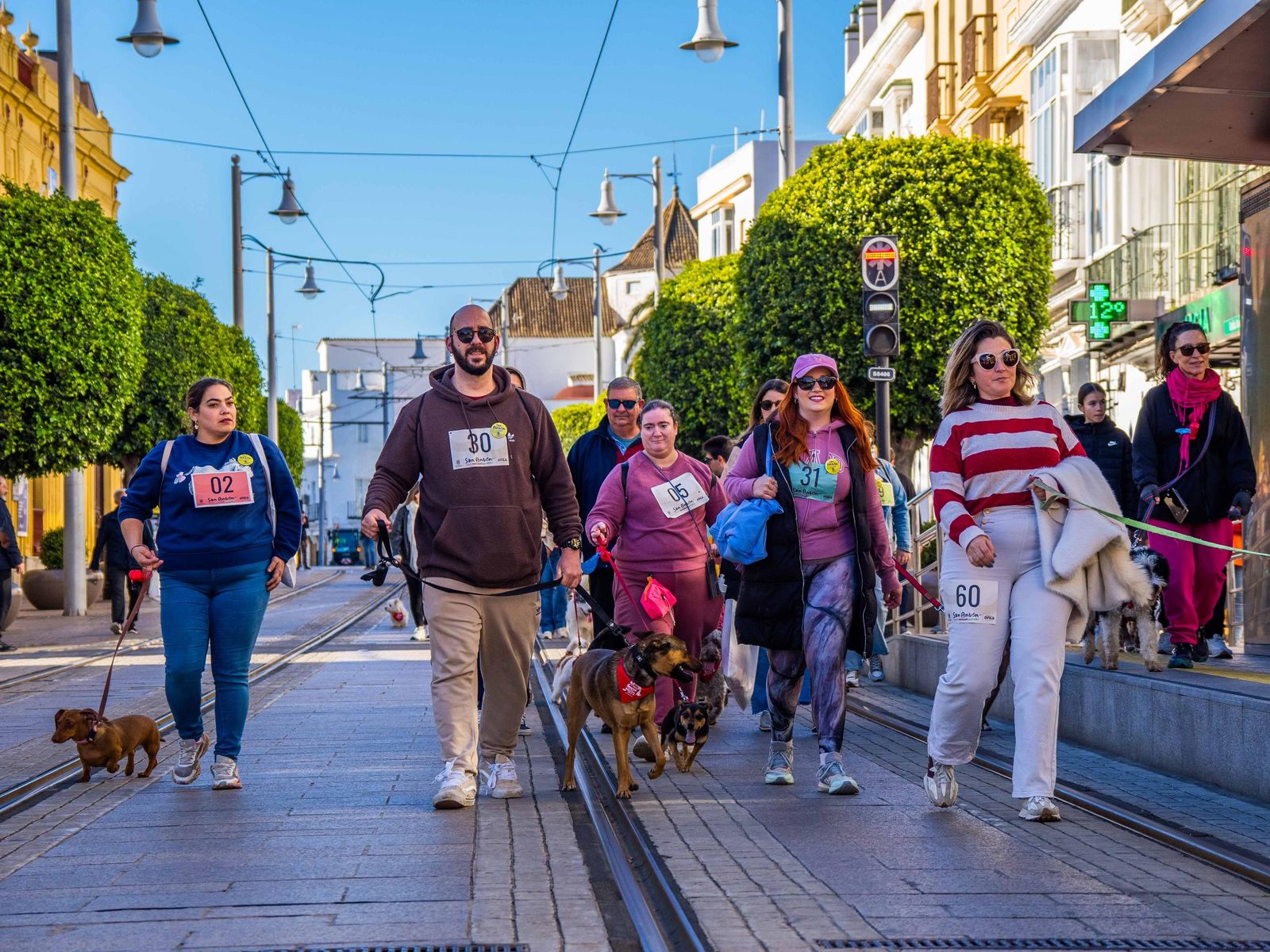 Las imágenes de San Antón 2025 en San Fernando