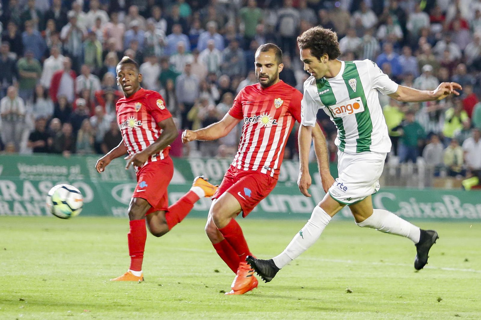 Las imágenes del Córdoba-Almería