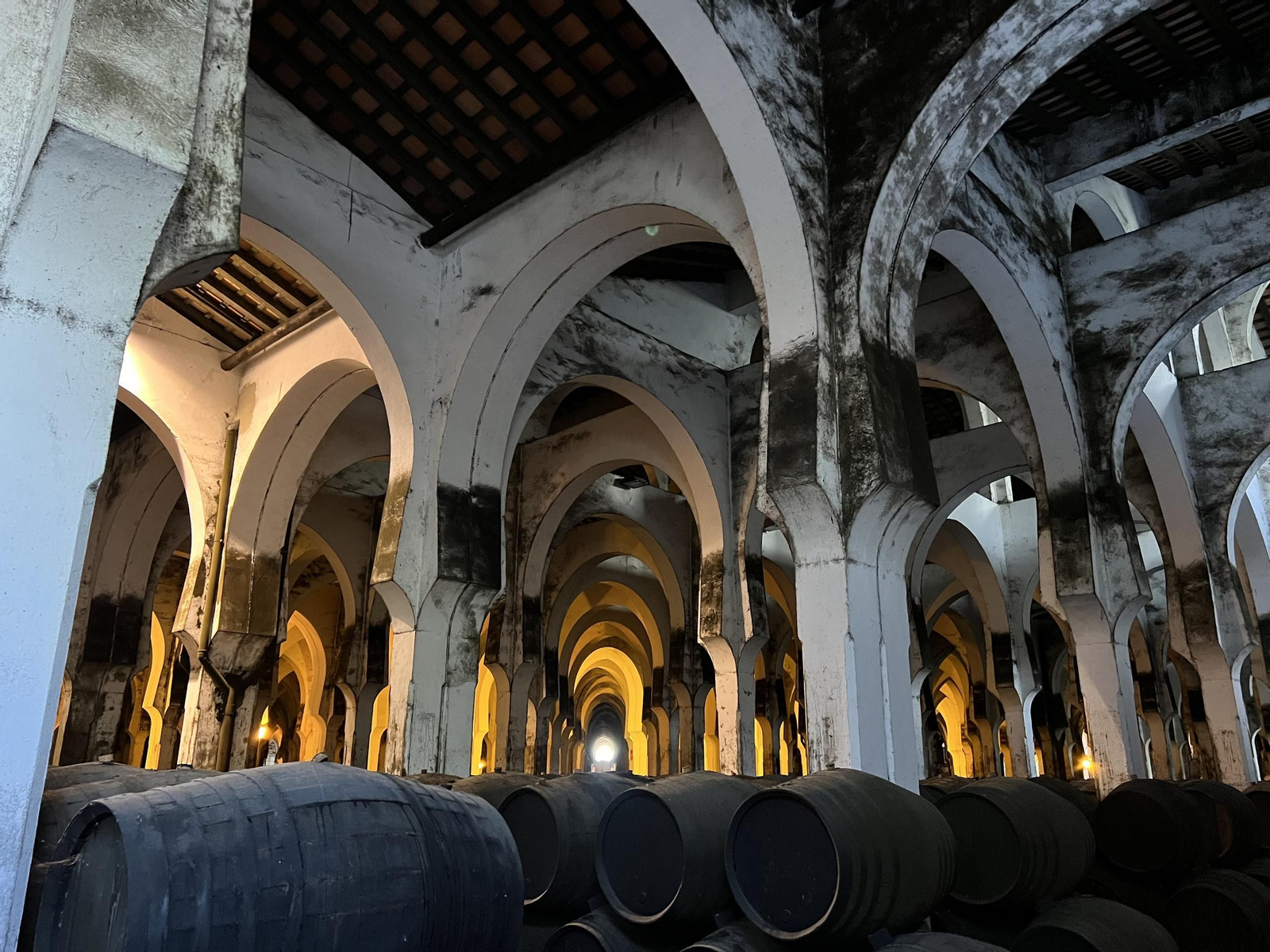 Una imagen de la bodega la Mezquita de Fundador.
