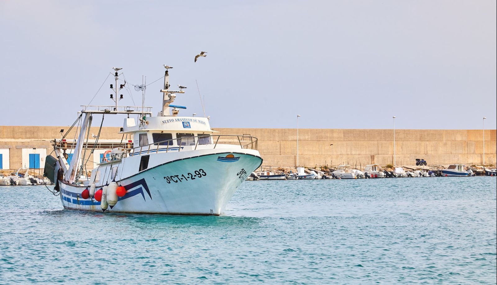 Los pescadores de Carboneras no buscarán a barcos marroquíes pero denunciarán
