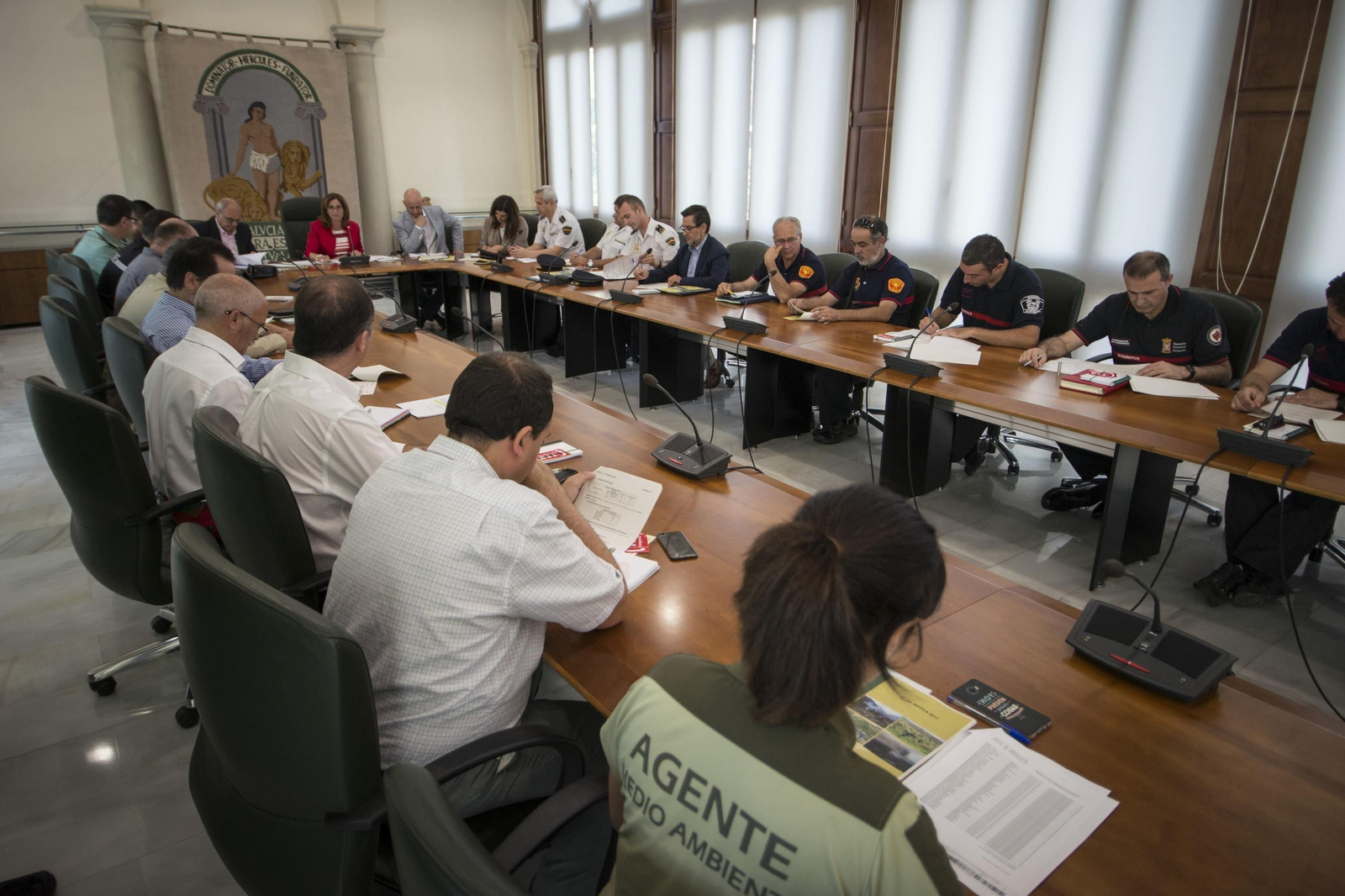 Reunión ayer en Granada del comité asesor del Plan Infoca.
