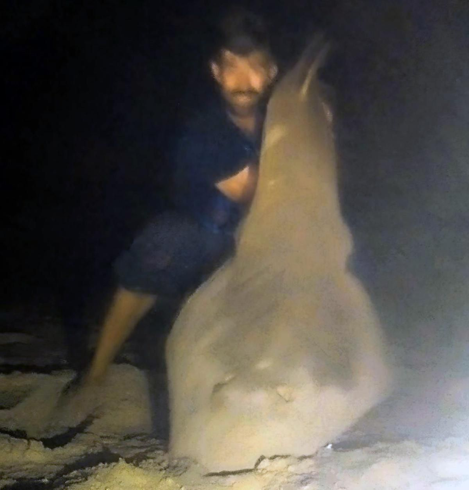 David Peinado muestra el enorme ejemplar de pez 'guitarra'