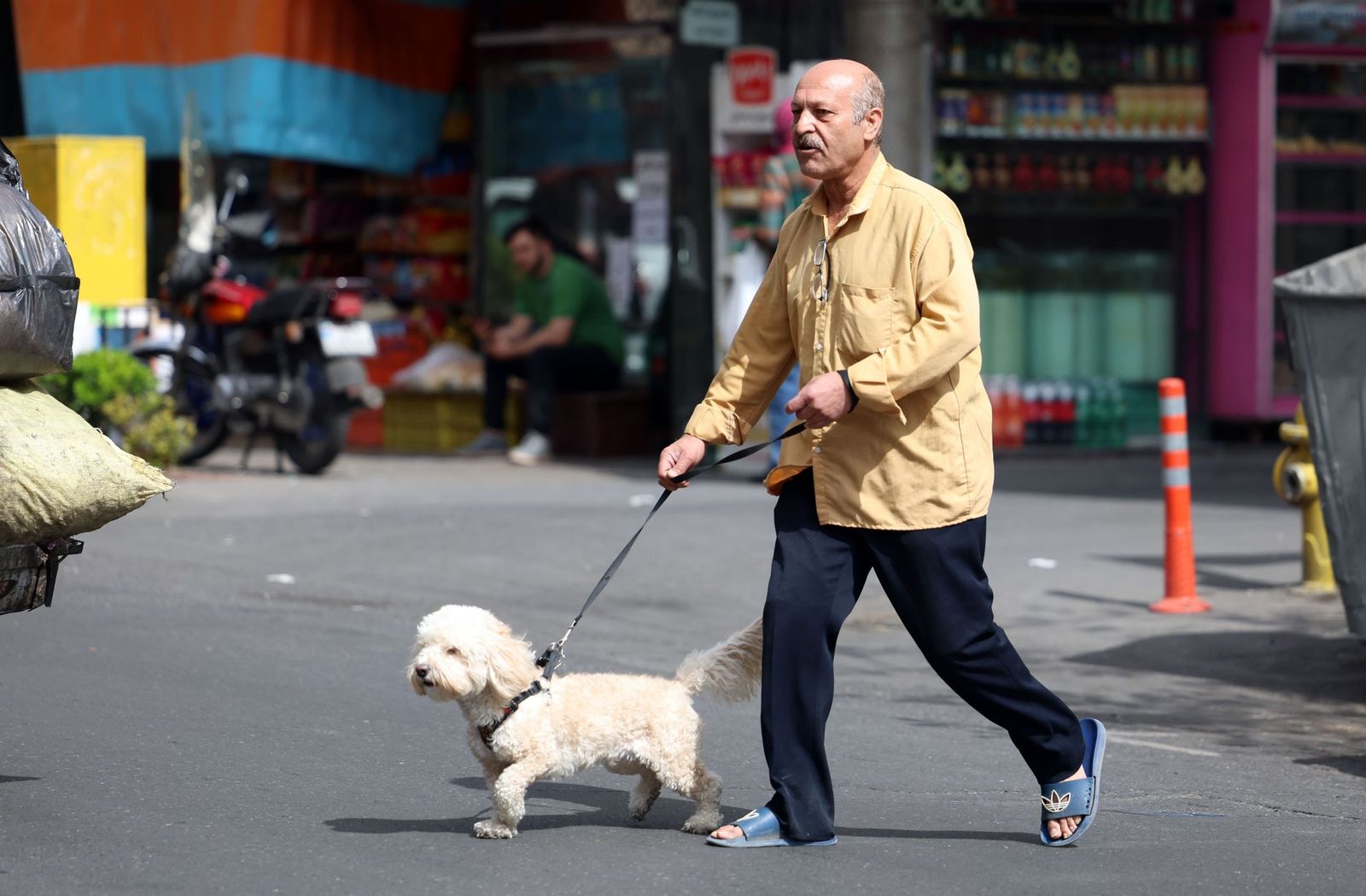 La vida sigue entre los habitantes de Teherán: compras, trabajos, pasear al perro...