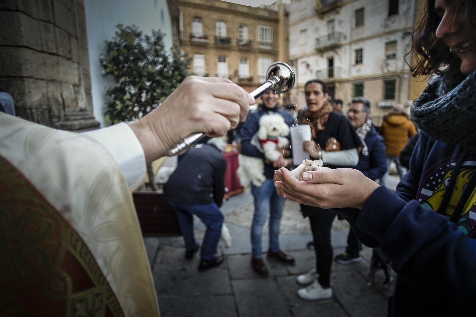 En Cádiz la celebración tuvo lugar en el convento de Santo Domingo