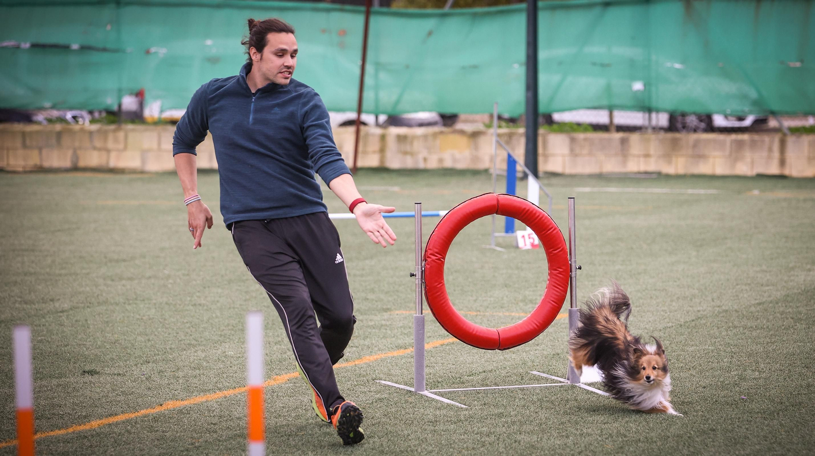 Habilidad canina en la prueba puntuable para el Campeonato de España de 'Agility' celebrado en Jerez Espectaculares las pruebas de disciplina canina puntuables para el Campeonato de España de Agility