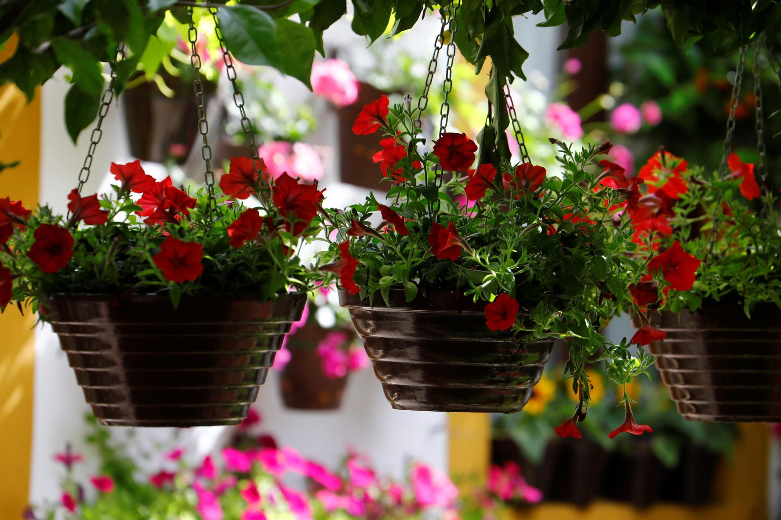 Patio de las Religiosas Jerónimas de Santa Marta y Hermandad de la Misericordia.
