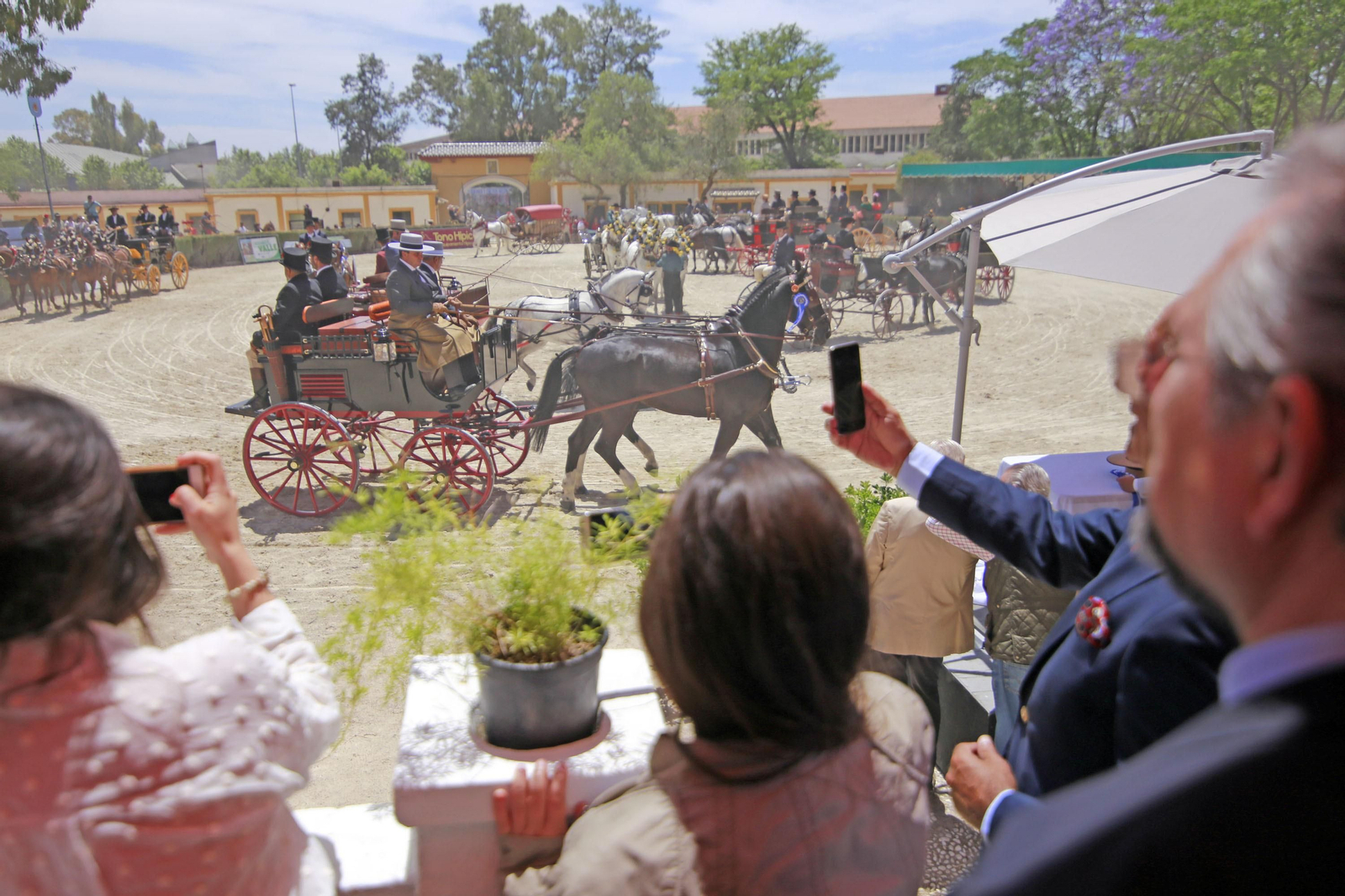 Trofeos de los concursos de Enganches y Morfológicos en la Feria de Jerez