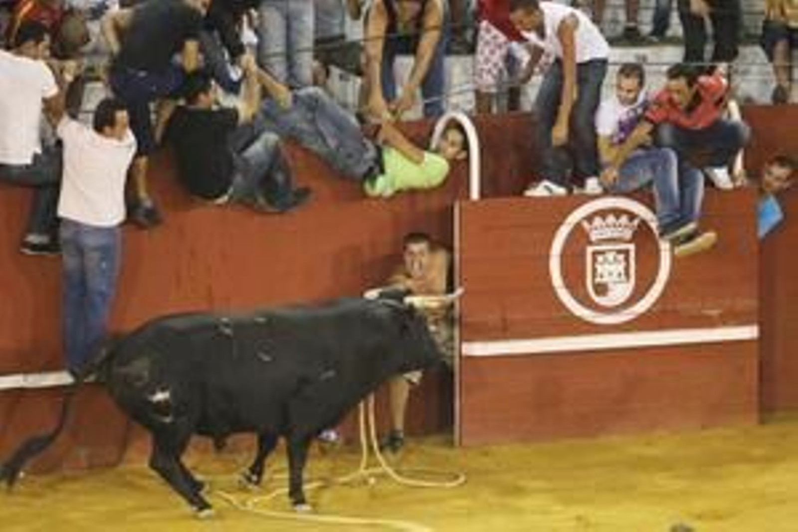 Con la suelta del llamado Toro del Aguardiente se pone el broche de oro a la feria de la localidad. No hubo que lamentar graves incidentes./Fotos:Paco Guerrero

Foto: Paco Guerrero