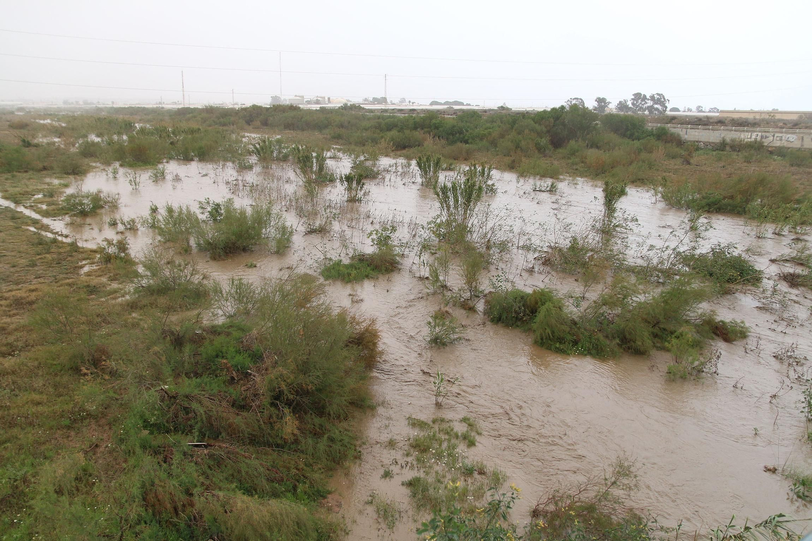 Fotogalería de la lluvia en Almería.