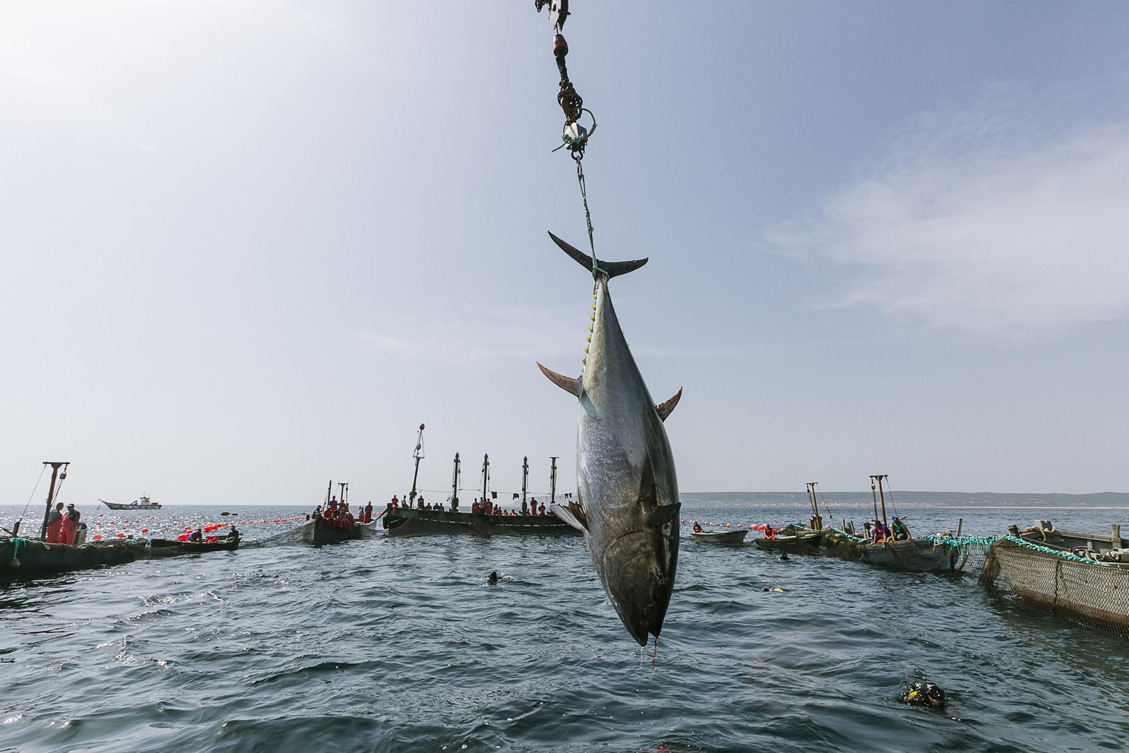 Imágenes de la primera levantá del año