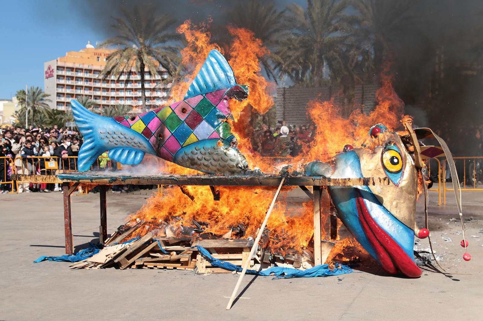 Las imágenes del Entierro de la Sardina de Almería