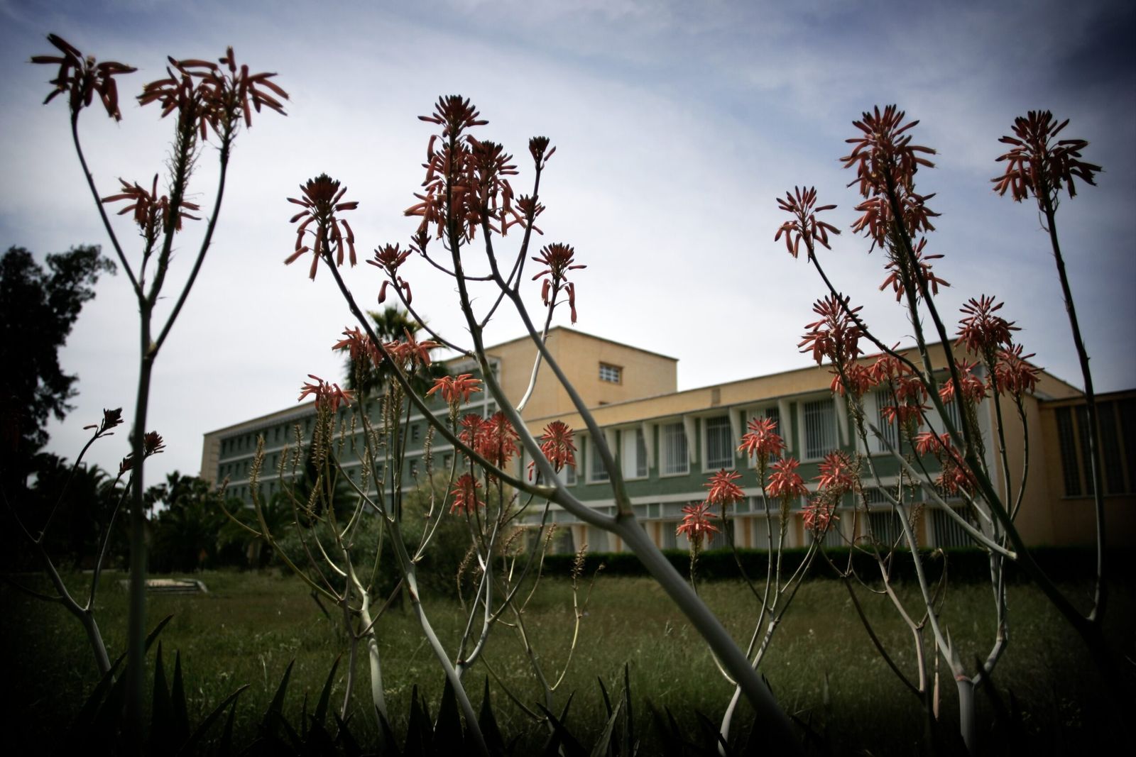 La UPO capta 1,57 millones de euros para el Centro de Excelencia Genómica y Análisis de la Biodiversidad