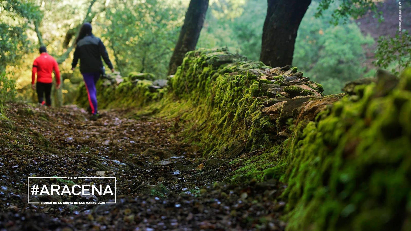 Sus senderos al aire libre son uno de los reclamos turísticos más continuos durante el año.