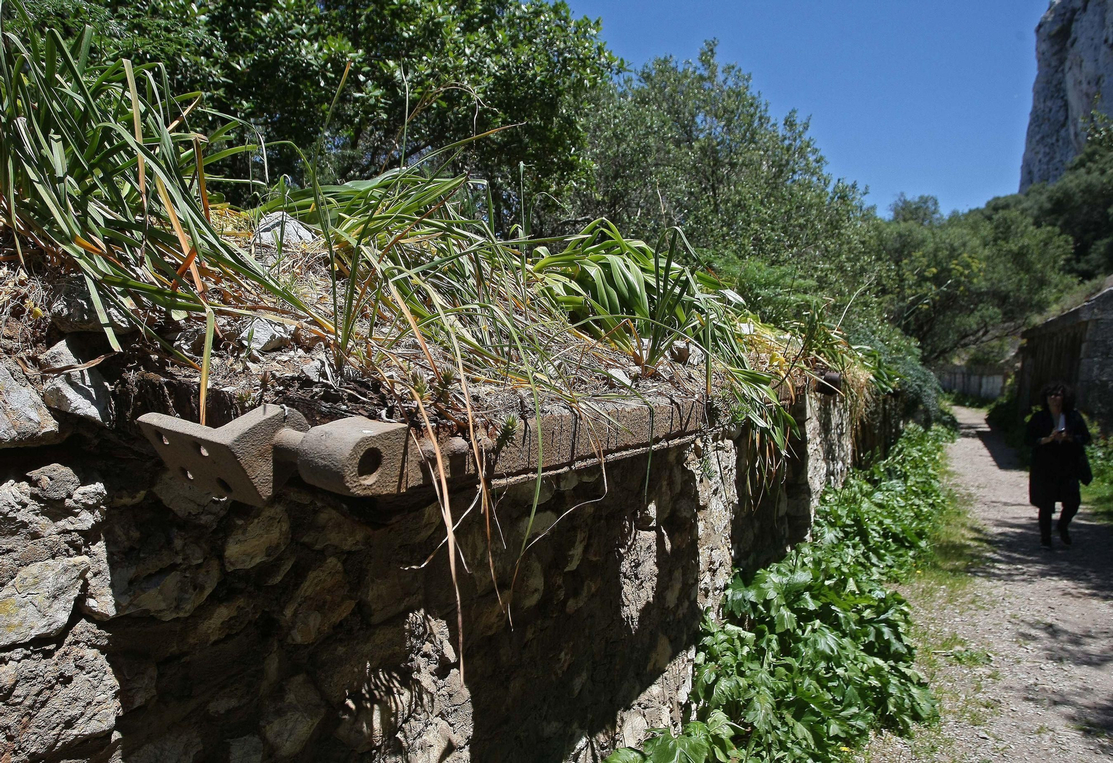 Las Defensas del Norte de Gibraltar, en imágenes