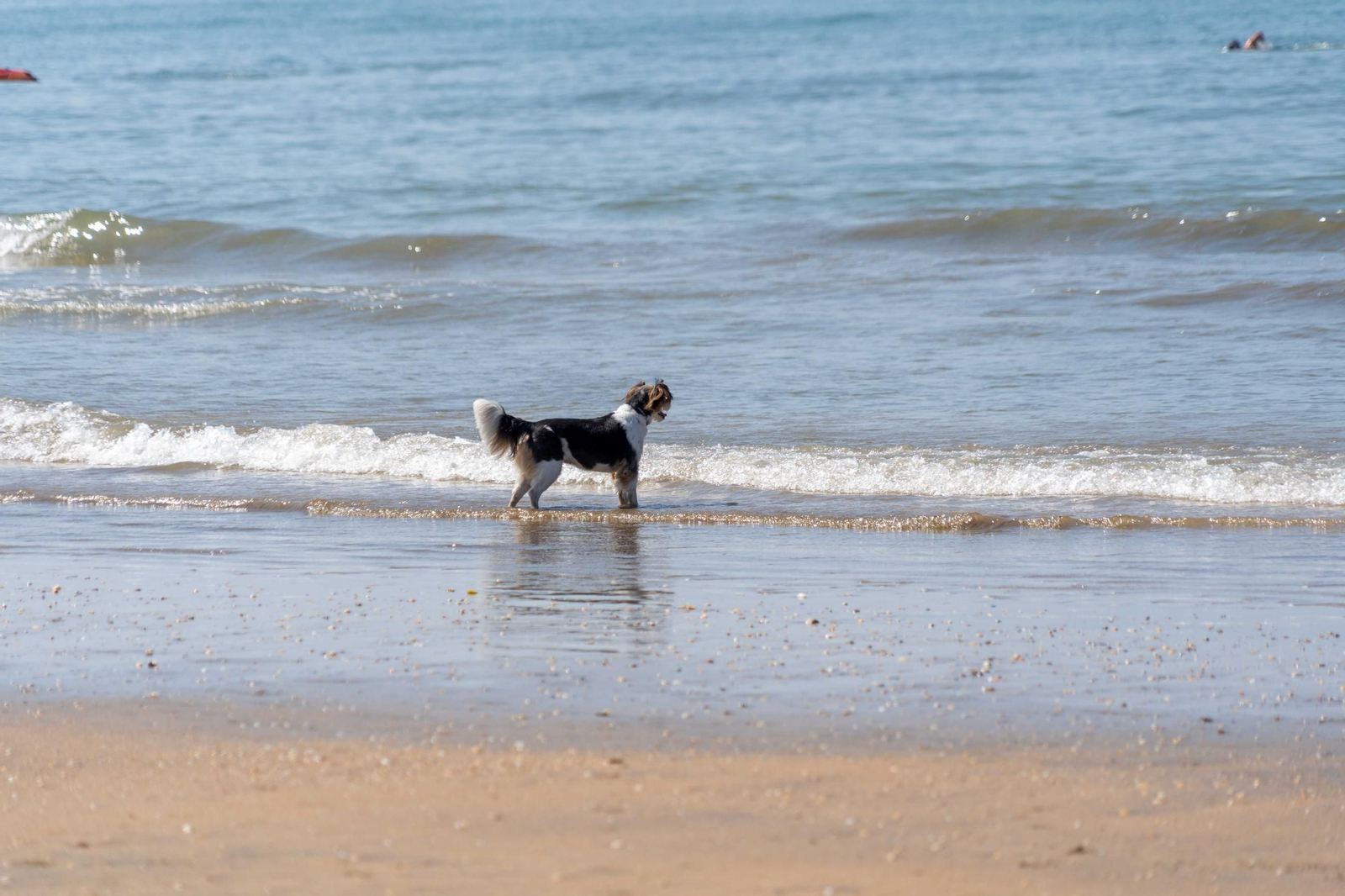 Ambiente de las playas de Punta Umbría la mañana del sábado 9 de agosto