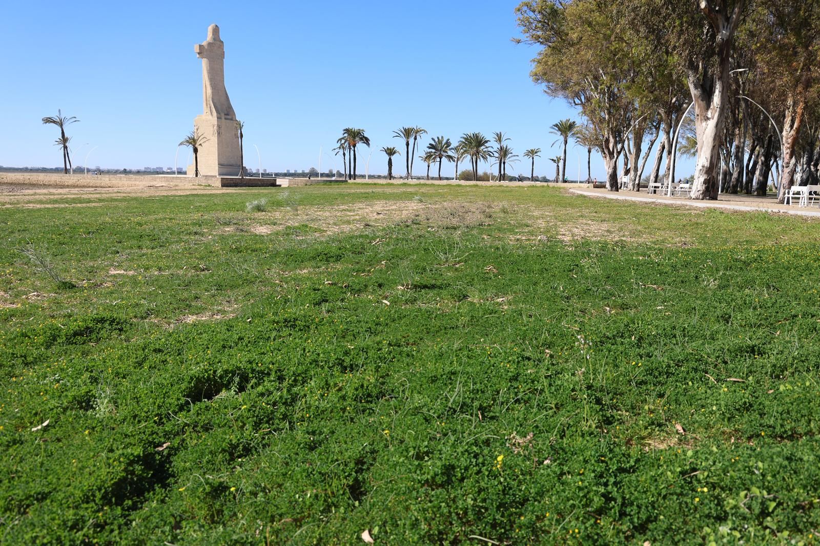 La arena cubierta de césped.