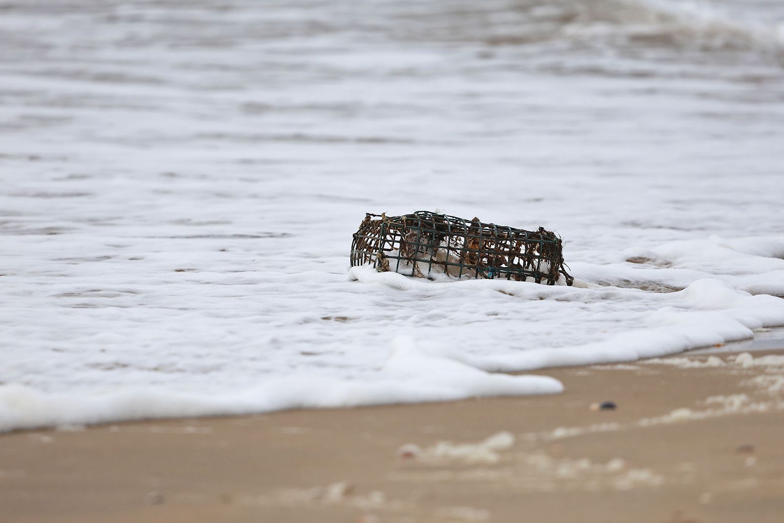 El inicio de 2026 en fotografías