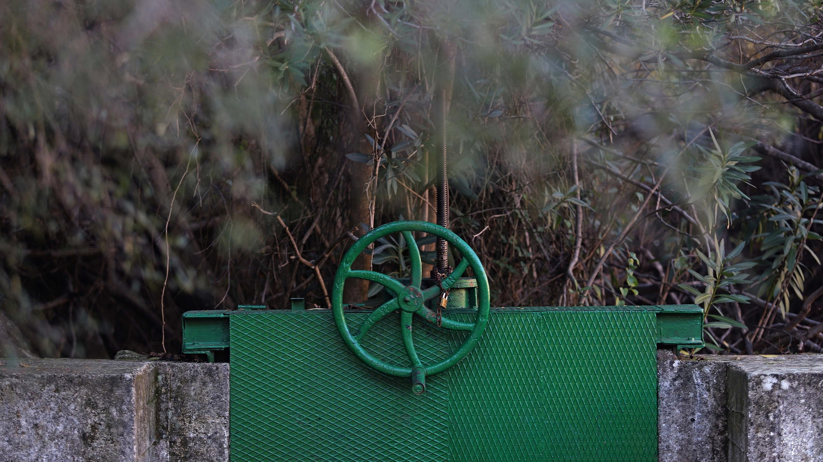 Las mejores fotos del Poblado del Corchado en San Pablo de Buceite
