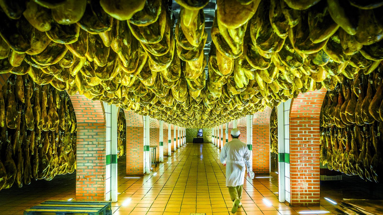 1-pic-20131210055311S4490P4