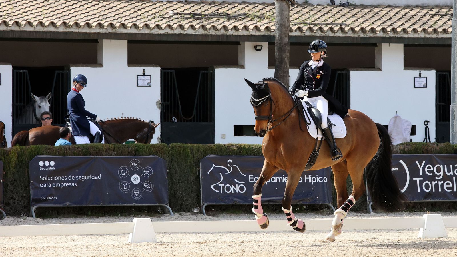 El Concurso Internacional en la Real Escuela Ecuestre, en imágenes