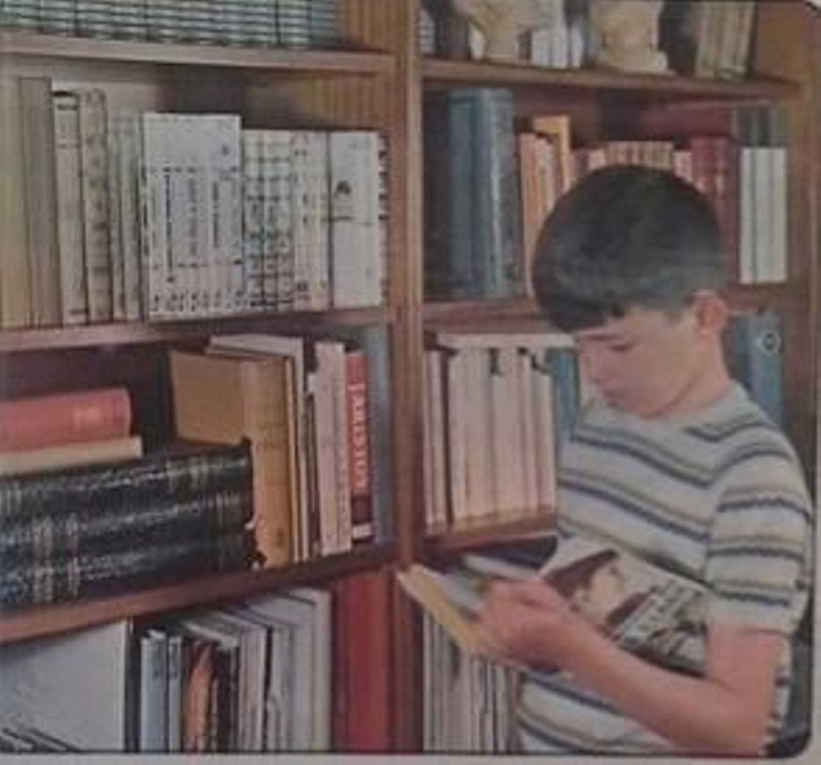 Recuerdos entre libros