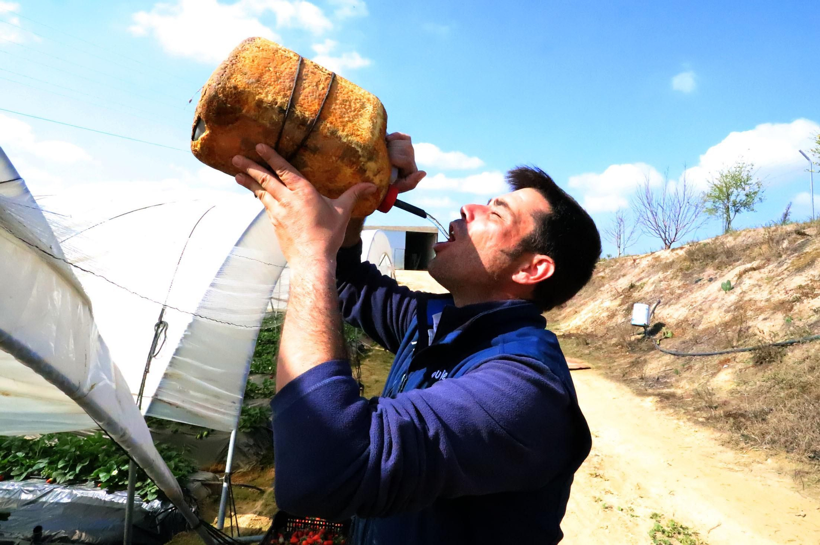 Imágenes de la realidad del trabajo en el campo