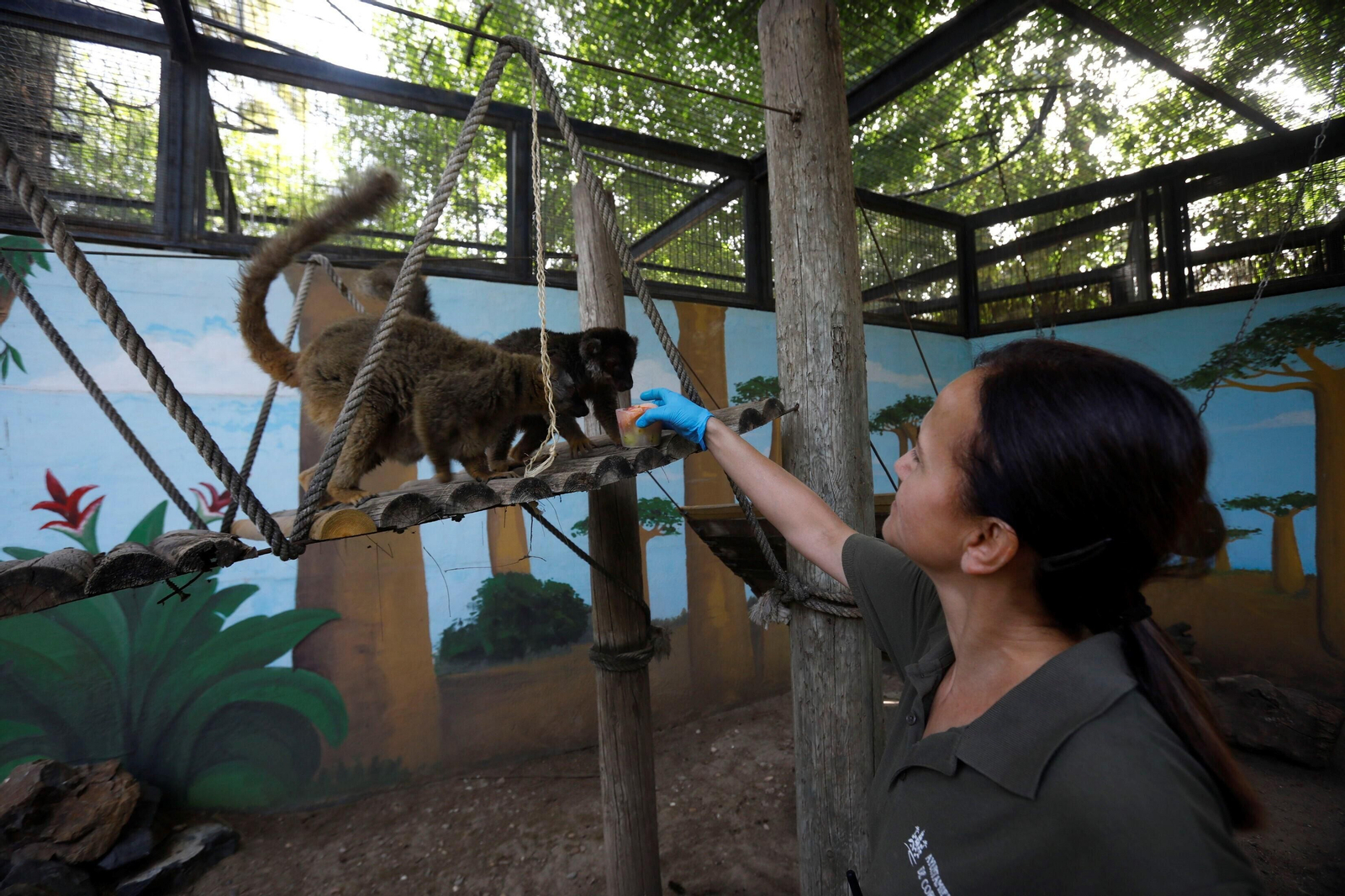 Fotogalería: Así viven los animales del Zoo de Córdoba los meses de verano