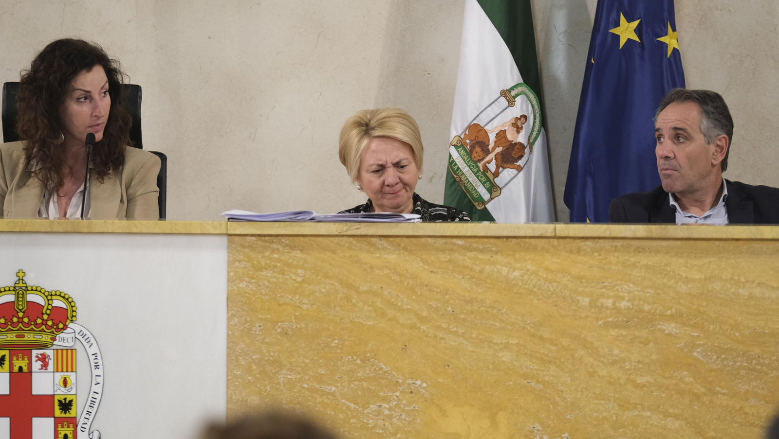 Imágenes del pleno ordinario del Ayuntamiento de Almería