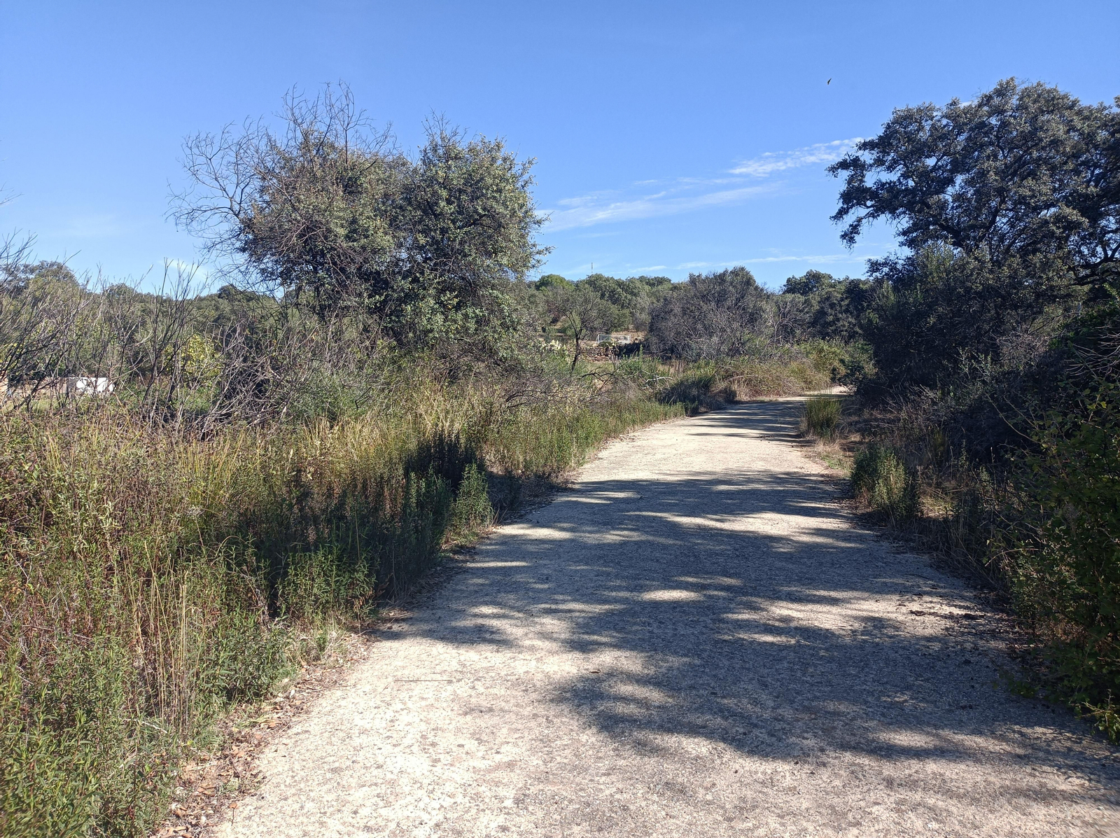 Volveremos a encontrarnos con el cruce de Villagordo.