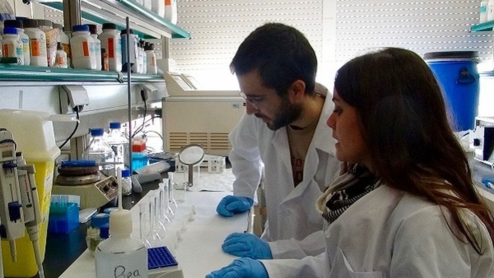 Miembros del proyecto de investigación.