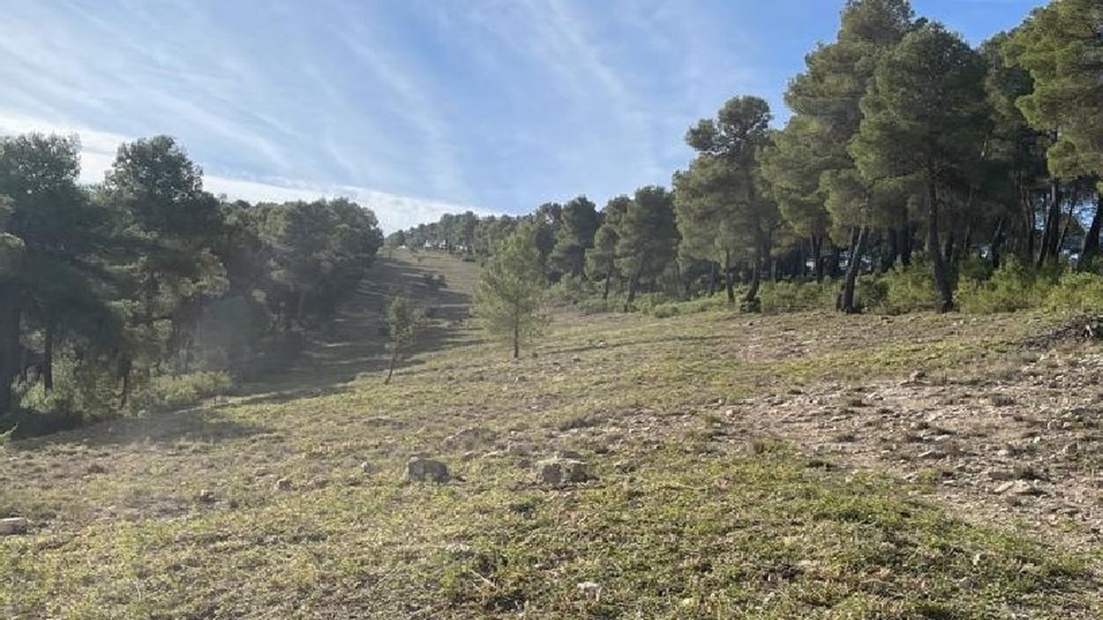 El mismo cortafuegos de María limpio.