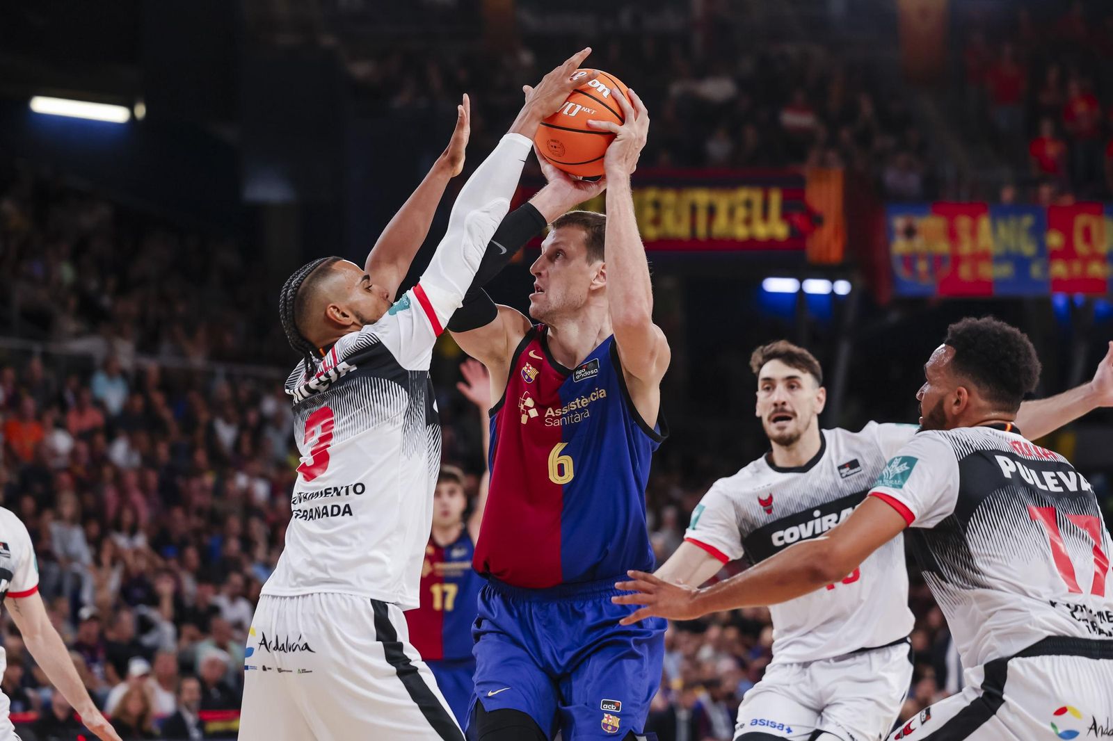 Las mejores imágenes del partido del Covirán Granada en el Palau