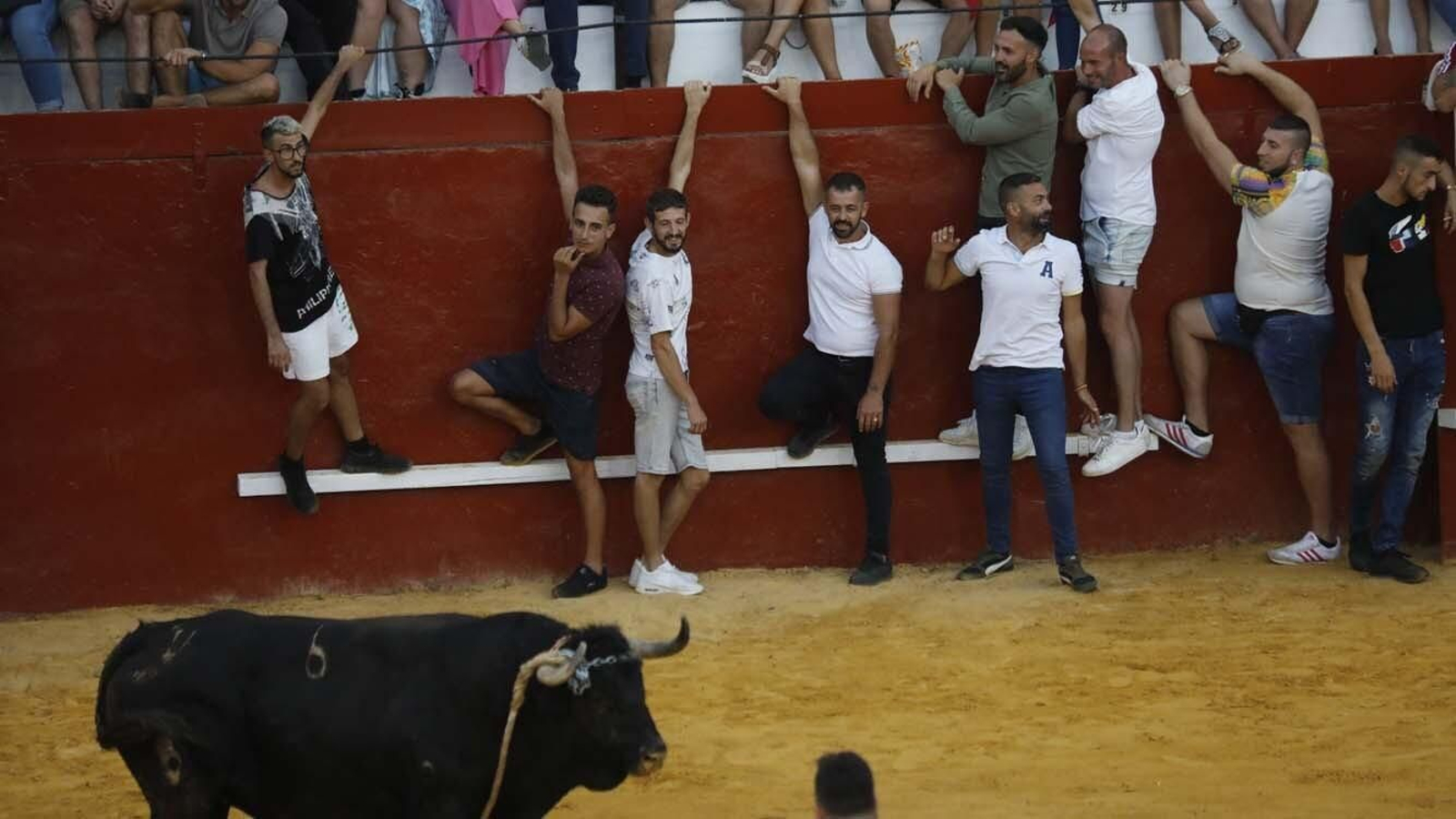 Las fotos del Toro del Aguardiente de San Roque